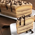 Frozen Mocha Cake