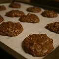 Fudgy Brownie Cookies