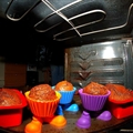 Gingerbread Muffins
