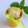 Granite Di Limone (Lemon Ice)