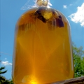 Green Sun Tea