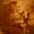 Heavenly Slow Cooker Chicken