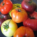 Heirloom Tomato Salad