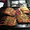 Herb Roasted Rack of Lamb