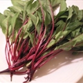 Herbed Baby Beets with Greens