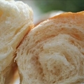 Homemade Butter Rolls