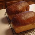 Honey Wheat Bread
