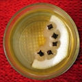 Hot Spiced Whisky Toddy