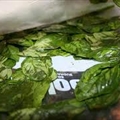 How to Freeze Fresh Basil Leaves