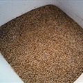 Jamaican Jerk Seasoning