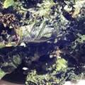 Kale Chips