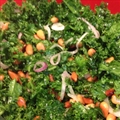 Kale Salad Kale Salad
