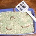 Kitty Litter Cake for Halloween