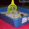 Kitty Litter Cake (Spice)