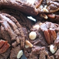 LuCynda's GooeyGoolicious Double Double Chocolate Chip Cookies
