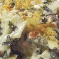 Main - Farfalle Mushroom Casserole