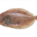 Megrim Sole with Brown Butter, Capers, Lemon, and Parsley