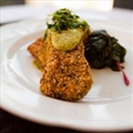 Mexicali Black Grouper