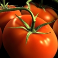 Mozzarella-Stuffed Tomatoes