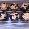 No Flour, No Sugar Blueberry Oatmeal Muffins