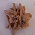 Noodle Cookies