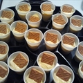 Not Yo' Mama's Bananas Pudding