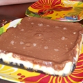 Nutella Cheesecake Bars