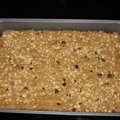 Oatmeal Bars