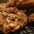 Oatmeal Chocolate Chip Cookies Oatmeal Chocolate Chip Cookies