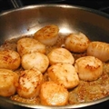 Oceanside Scallops