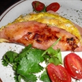 Omelet Ham and Cheese (Hamlet) GT Xpress 100