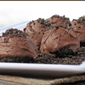 Oreo's Chocolate Surprise