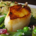 Pan-Seared Scallops