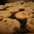 Peanut Butter Chocolate Cookies