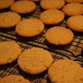 Peanut Butter Cookies