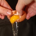 Perfect Poached Eggs