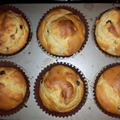 Plain or Fruit Muffins