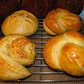 Potato Dinner Rolls