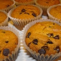 Pumpkin and Chocolate Chip Muffins