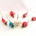 Radish 