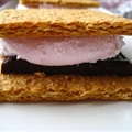 Raspberry Marshmallows