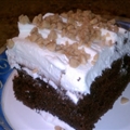 Reduced Fat And Calorie Turtle Cake (5 Pts)