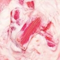 Rhubarb fool