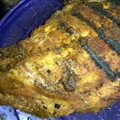 Ring of FIRE grilled chicken