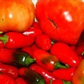 Roasted Jalapeno Salsa