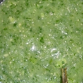 Salsa Verde con Aguacate