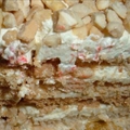 SANS RIVAL