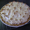 Saskatoon Meringue Pie