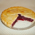 Saskatoon Pie