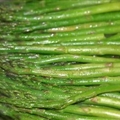 Sauteed Asparagus